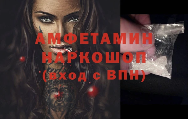прущие грибы Сосновоборск