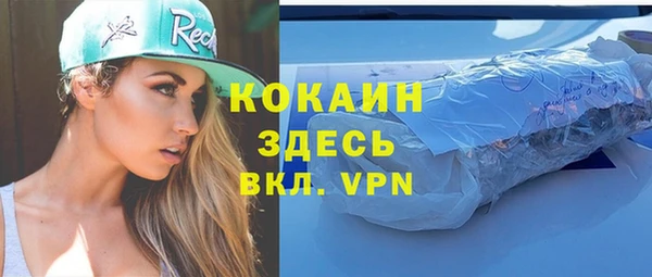 стафф Алзамай