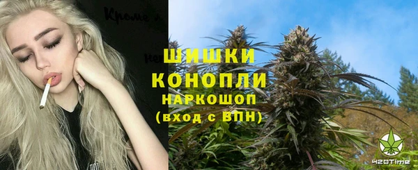 стафф Алзамай