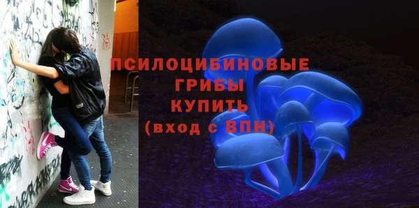 MDMA Алексеевка