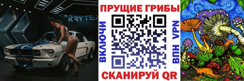 цены наркотик  Кизел  hydra ССЫЛКА  Псилоцибиновые грибы MAGIC MUSHROOMS 